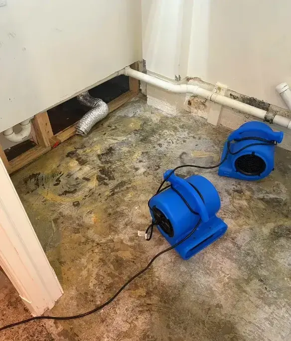 Blue air movers drying a stained floor, a pipe at the baseboard