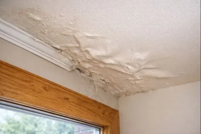 Ceiling paint bubbling above a window from an ice dam leak