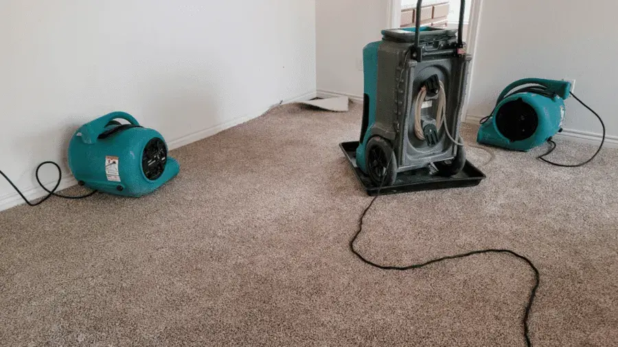 Air movers and an LGR dehumidifier drying a carpeted room in Framingham